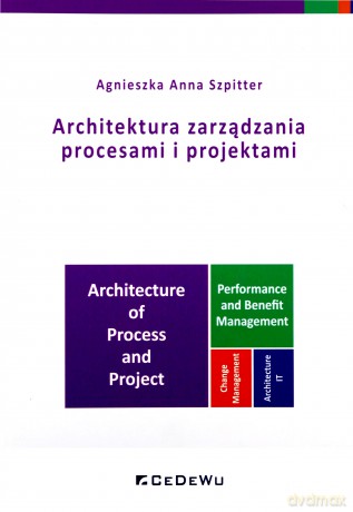Architektura zarządzania procesami i projektami - Agnieszka Anna Szpitter [KSIĄŻKA]