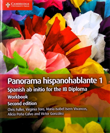 Panorama Hispanohablante 1 Workbook [KSIĄŻKA]