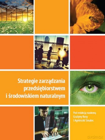 Strategie zarządzania przedsiębiorstwem i środowiskiem naturalnym [KSIĄŻKA]