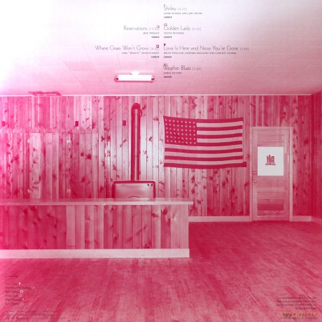 Lambchop: Trip [Winyl]