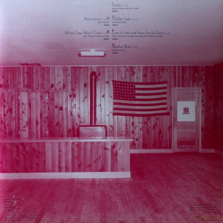 Lambchop: Trip [Winyl]
