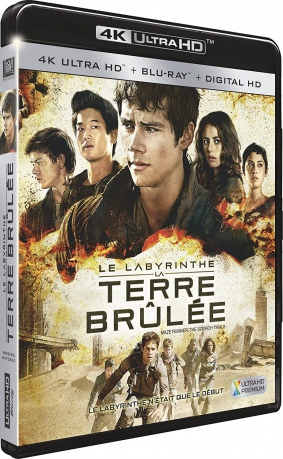 Maze Runner: The Scorch Trials (Więzień labiryntu: Próby ognia) [Blu-Ray 4K]+[Blu-Ray]