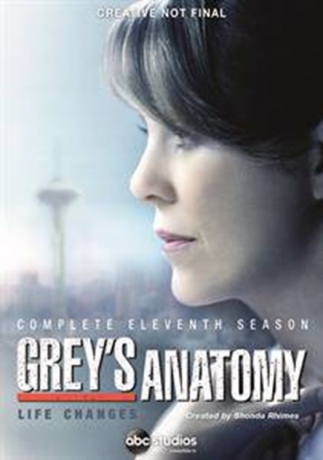 Grey's Anatomy Season 11 (Chirurdzy) [BOX] [6DVD]