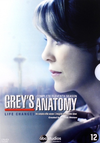 Grey's Anatomy Season 11 (Chirurdzy) [BOX] [6DVD]