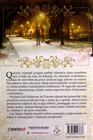 Najpiękniejszy sen - Susan Anne Mason [KSIĄŻKA]