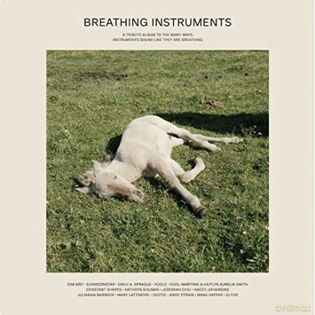 Breathing Instruments [2xWinyl]