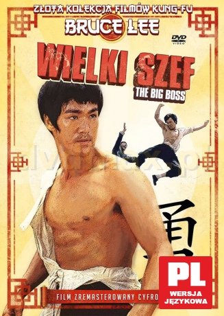 Wielki Szef [DVD]