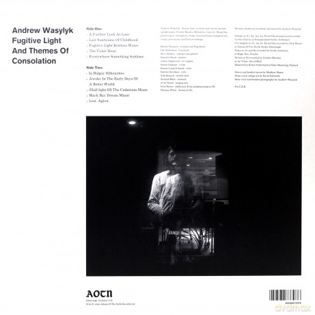 Andrew Wasylyk: Fugitive Light And Themes Of Consolation [Winyl]