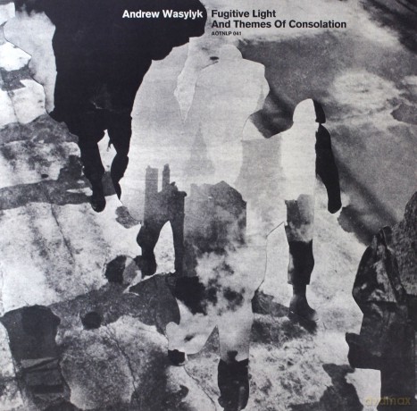 Andrew Wasylyk: Fugitive Light And Themes Of Consolation [Winyl]