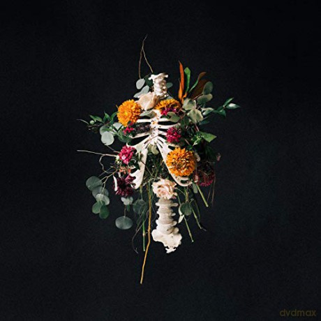 Elevation Worship: Graves Into Gardens [CD]
