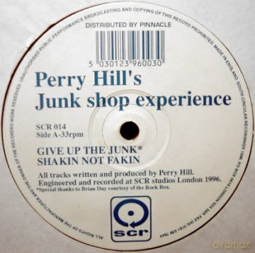 Perry Hills: Junk Shop Experience [Winyl]