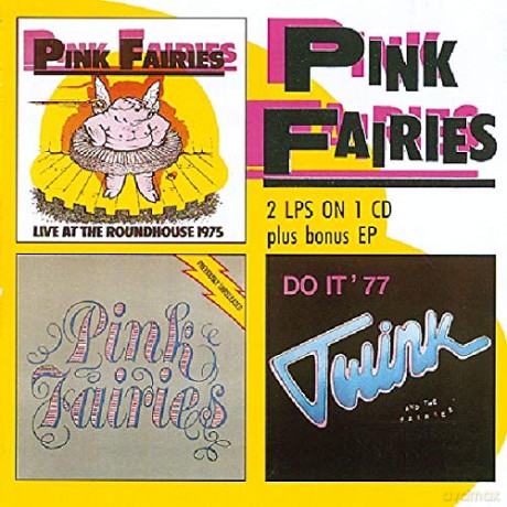 Pink Fairies: Live/Roundhouse Plus [CD]