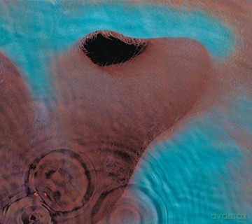Pink Floyd: Meddle [Winyl]