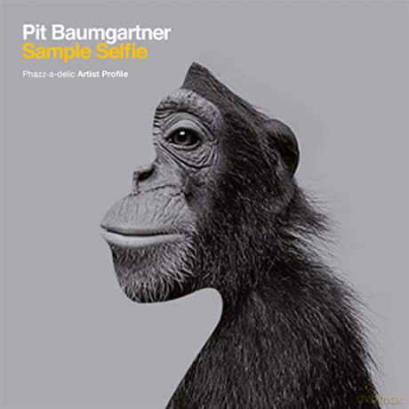 Pit Baumgartner: Sample Selfie [Winyl]