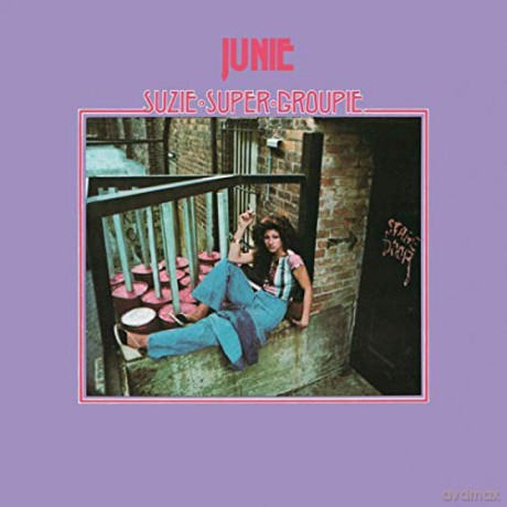 Junie: Suzie Super Groupie [Winyl]
