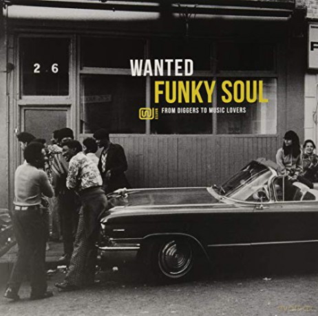 Wanted Funky Soul [Winyl]