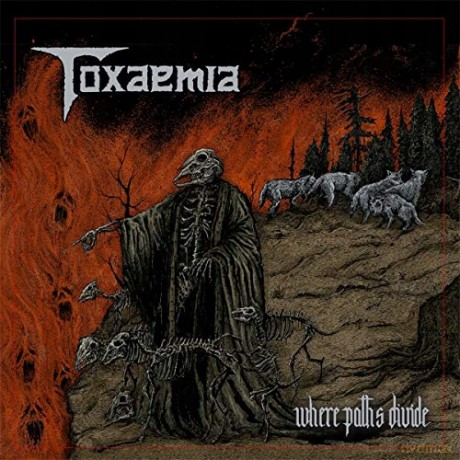 Toxaemia: Where Paths Divide [CD]