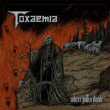 Toxaemia: Where Paths Divide [CD]