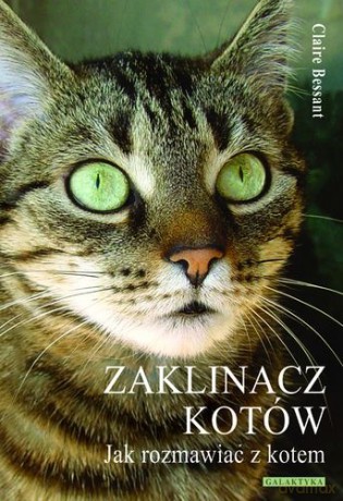 Zaklinacz Kotów - Claire Bessant [KSIĄŻKA]
