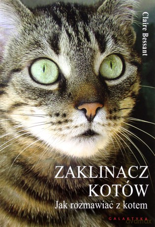 Zaklinacz Kotów - Claire Bessant [KSIĄŻKA]