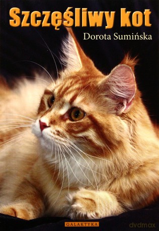 Szczęśliwy Kot - Dorota Sumińska [KSIĄŻKA]