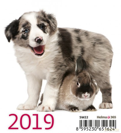 Kalendarz biurkowy Mini Przyjaciele 2019 10 sztuk [KALENDARZ]