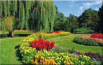 Kalendarz trójdzielny Park 2020 granat [KALENDARZ]