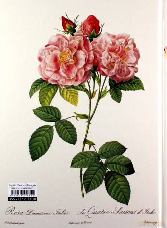 Redouté The Book of Flowers. - H. Walter Lack [KSIĄŻKA]