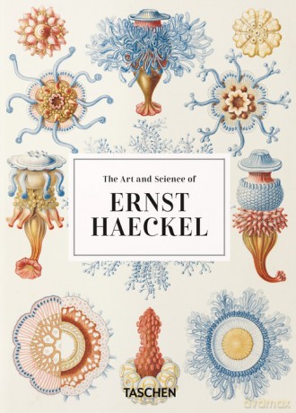 The Art and Science of Ernst Haeckel - Rainer Willmann, Julia Voss [KSIĄŻKA]