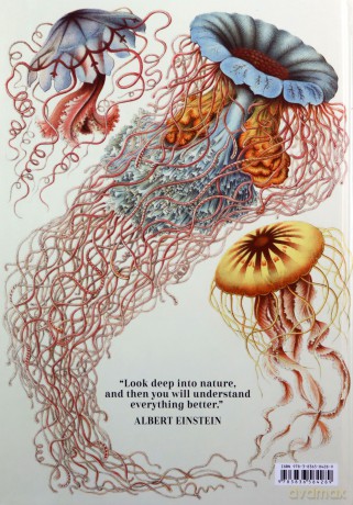 The Art and Science of Ernst Haeckel - Rainer Willmann, Julia Voss [KSIĄŻKA]