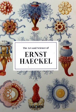 The Art and Science of Ernst Haeckel - Rainer Willmann, Julia Voss [KSIĄŻKA]
