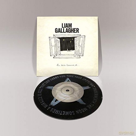 Liam Gallagher: All You're Dreaming Of [Winyl]