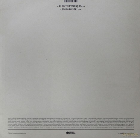 Liam Gallagher: All You're Dreaming Of (White) [Winyl]