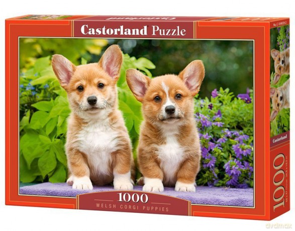 CASTORLAND 1000 el. Szczenięta Welsh Corgi C-104659-2 [PUZZLE]