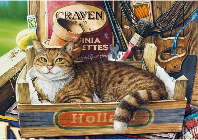 CASTORLAND 500 el. Fothergill B-53476 [PUZZLE]
