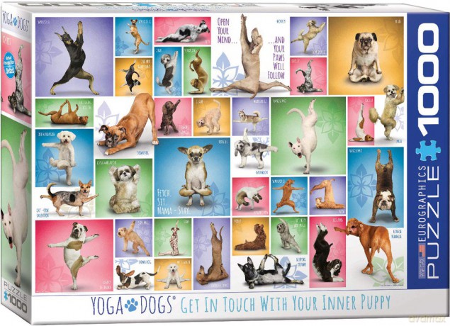 EUROGRAPHICS 1000 el. Joga psy 6000-0954 [PUZZLE]