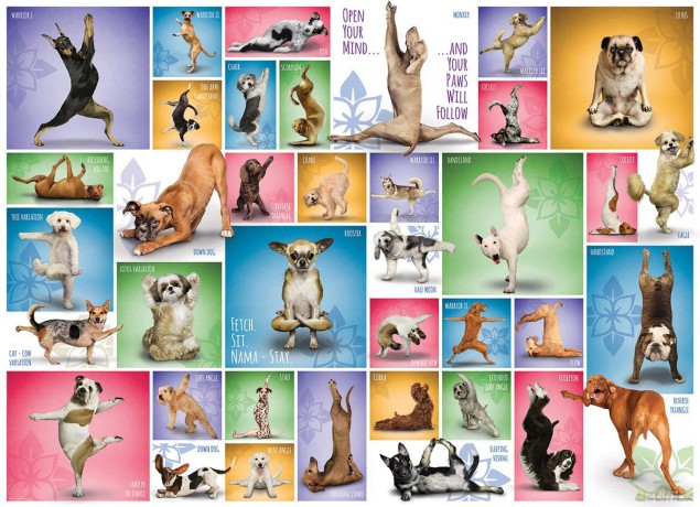 EUROGRAPHICS 1000 el. Joga psy 6000-0954 [PUZZLE]