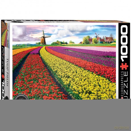 EUROGRAPHICS 1000 el. Pola tulipanów w Holandii 6000-5326 [PUZZLE]
