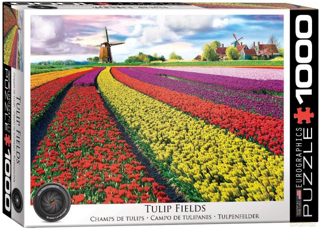 EUROGRAPHICS 1000 el. Pola tulipanów w Holandii 6000-5326 [PUZZLE]