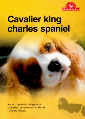 Pies Na Medal Cavalier King Charles Spaniel [KSIĄŻKA]