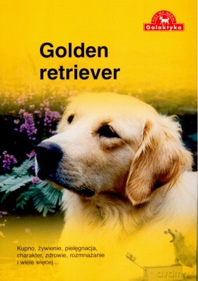 Pies Na Medal Golden Retriever [KSIĄŻKA]