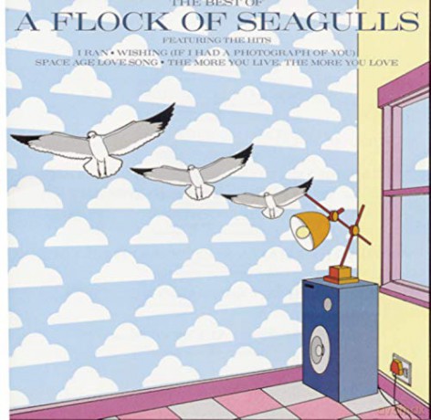 Flock Of Seagulls: Best Of A Flock Of Seagulls [CD]