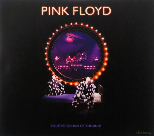 Pink Floyd: Delicate Sound Of Thunder [CD]