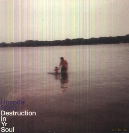 Hospital Ships: Destruction In Yr Soul [Winyl]