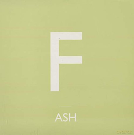 Ash: F Pripyat [Winyl]