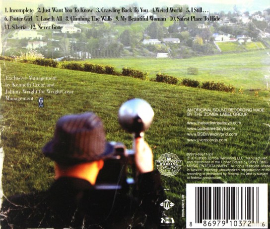 Backstreet Boys: Never Gone [CD]