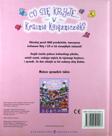 Co Się Kryje w Krainie Księżniczek (twarda) [KSIĄŻKA]