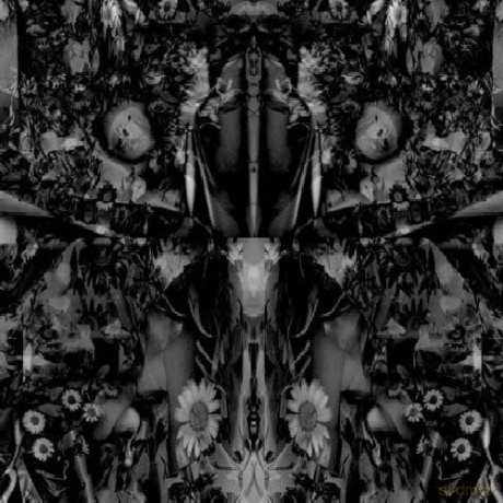 Baker Aidan: Songs Of Flowers And Skin [CD]