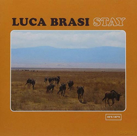 Brasi Luca: Stay [CD]