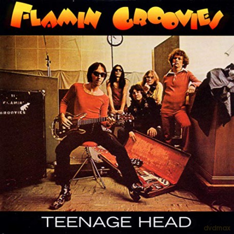 Flamin Groovies: Teenage Head [CD]